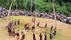 Sôi nổi các hoạt động chào mừng Ngày Văn hóa các dân tộc Việt Nam năm 2026