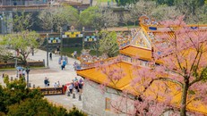 Việt Nam phấn đấu đón 50 triệu khách quốc tế vào năm 2030