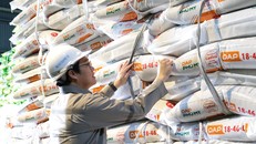 PVFCCo - Phú Mỹ: Niềm tin trọn vẹn với danh hiệu Hàng Việt Nam Chất lượng cao 2026