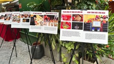 Công chúng có cơ hội tìm hiểu sâu hơn về lịch sử hình thành làng nghề làm tranh Đông Hồ, cũng như quy trình tạo nên một bức tranh dân gian.