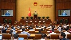 Quang cảnh phiên họp