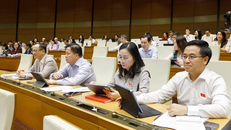 Đoàn đại biểu Quốc hội Thành phố Hải Phòng dự phiên họp.