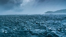 Dòng hải lưu quan trọng ở Đại Tây Dương trước nguy cơ sụp đổ