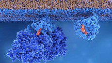 Thuốc mới mở ra hy vọng kéo dài sự sống cho bệnh nhân ung thư tụy