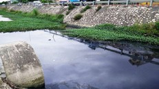 Nước thải KCN Gián Khẩu thải ra môi trường chưa qua xử lý khiến kênh nước giáp QL 1A có màu đen ngòm, đặc quánh, sủi bọt, mùi hôi thối nồng nặc.