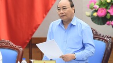 Thủ tướng Nguyễn Xuân Phúc chỉ đạo tại Hội nghị về công tác quản lý, bảo vệ rừng 