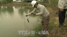 Cơ quan chức năng đang kiểm tra môi trường nước trong hồ nuôi.