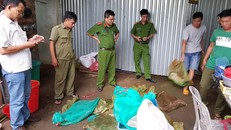 Phòng 3 (C49) phối hợp cơ quan chức năng phát hiện, thu giữ nhiều động vật hoang dã quý hiếm