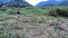 Đất bị thoái hóa bỏ hoang