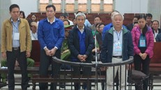 Các bị cáo được đưa ra xét xử. 