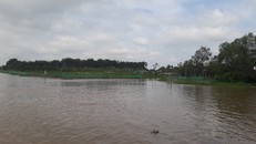 Sạt lở ăn sâu vào đất liền có nơi từ 20 đến 30 mét