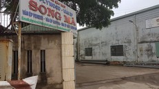 Xưởng sản xuất ván ép Song Mã.