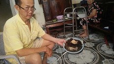  Miếng lọc nước chỉ trong vài ngày từ trắng hóa thành đen