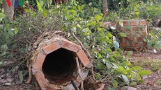 Mưa lụt gây ảnh hưởng nghiêm trọng đến diện tích hồ tiêu ở Đắk Lắk