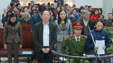 Các bị cáo tại tòa. 