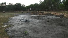 Hình ảnh ô nhiễm môi trường của trại lợn giống Thái Dương