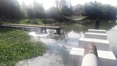 Nước thải từ trạm xử lý nước thải Ngũ Hành Sơn đang gây ô nhiễm