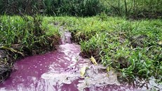 TT-Huế: 'Xanh mặt' với nước khe chuyển màu tím đỏ, nồng nặc mùi hôi bất thường