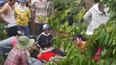 Hai người bị điện giật rơi xuống suối tử vong