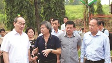 Tháng 7.2017, Bí thư Thành uỷ TP HCM Nguyễn Thiện Nhân (bìa trái) đã có chuyến thị sát Nhà máy điện rác Gò Cát 