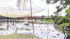 Nguồn nước sông Cổ Cò bị ô nhiễm khiến đời sống của người dân tổ 91 khó khăn