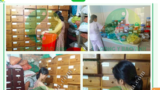 Thầy thuốc của Đông y Bảo Anh mặc váy ngủ kê đơn, bốc thuốc cho bệnh nhân?