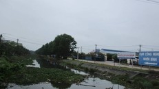 Tuyến mương nằm dọc theo đường Nguyễn Đình Hoàng có chức năng tiêu thoát nước cho các khu dân cư nằm xung quanh CCN Nhơn Bình