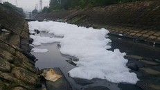 Bọt phủ dày đặc trên sông Phú Lộc