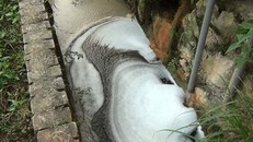 Hà Nội thúc quận, huyện báo cáo các điểm đen về ô nhiễm môi trường.