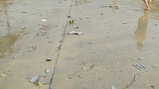 Giông lốc khiến 4 nhà dân trên địa bàn xã Núa gam bị tốc mái hoàn toàn. 