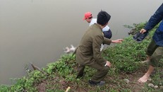 Hà Nam: Thi thể bé sơ sinh chết nổi lềnh bềnh trên mương