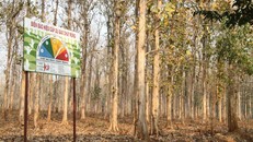 Đắk Lắk: Cảnh báo nguy cơ cháy rừng cao