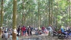 Lời khai rùng rợn của nghi can sát hại bé gái 4 tuổi