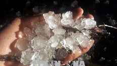 Nghệ An: Lốc xoáy, mưa đá gây nhiều thiệt hại 