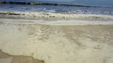 Trước đó, tại vùng biển Đà Nẵng có hiện tượng nước biển chuyển màu và sủi bọt