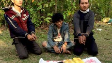 3 người đàn ông bị bắt giữ cùng tang vật. Ảnh: BĐBP Quảng Bình cung cấp.