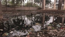 Chân cầu Thăng Long ngập ngụa rác thải