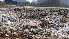 Cty Phú Hưng có xử lý rác thải gây ô nhiễm môi trường?
