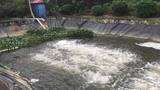 Nước tách từ phân bùn bể phốt sau khi được xử lý sẽ đưa ra bể chứa này để từ đó bơm ra môi trường