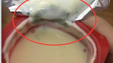 Hình ảnh hộp sữa chua bị mốc xanh 1 góc hộp 