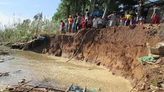 Ảnh từ internet.