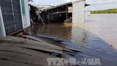 Sạt lở tại khóm 8, thị trấn Năm Căn. Ảnh: Huỳnh Thế Anh/TTXVN