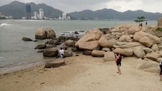 Nhiều rạn san hô ở khu vực biển từ Hòn Chồng đến Hòn Một (vịnh Nha Trang, tỉnh Khánh Hòa) đã chết. Ảnh: PV