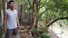  Người dân khiếu nại về quy trình thu hồi đất và thắc mắc về việc tại sao hồ sơ kê khai thuế sử dụng đất của mình lại bị 'tắc' lại?