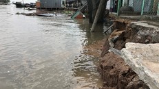 Đoạn sạt lở lại nằm ngay vị trí cong “cánh cung” bị luồng chảy từ sông Hậu “đâm” trực diện