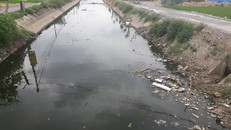 Nước trong mương chuyển sang màu đen ngòm, bốc mùi xú uế.
