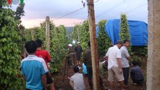 Hiện trường vụ việc. Nguồn VOV.