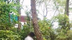 Lật lại nghi án nữ kế toán trưởng bị sát hại 6 năm trước