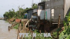 Xuất hiện vết nứt dài 120 mét, di dời khẩn cấp 15 nhà dân ở An Giang