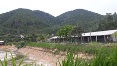 Hệ thống chuồng trại chăn nuôi gia súc, gia cầm của Cty Đại Huệ bị “tố” gây ô nhiễm môi trường